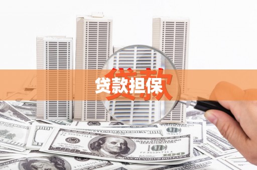 法库贷款担保