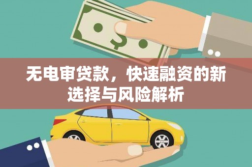 法库无电审贷款，快速融资的新选择与风险解析