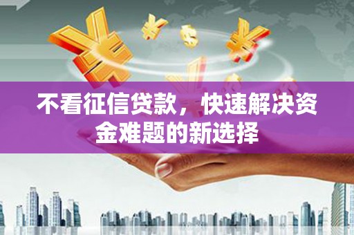 法库不看征信贷款，快速解决资金难题的新选择