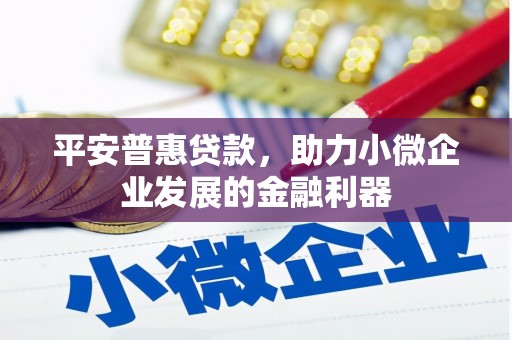 法库平安普惠贷款，助力小微企业发展的金融利器