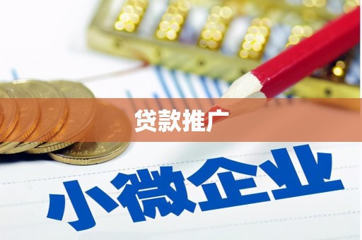法库贷款推广