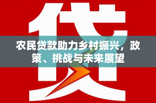 法库农民贷款助力乡村振兴，政策、挑战与未来展望