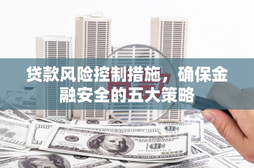 法库贷款风险控制措施，确保金融安全的五大策略