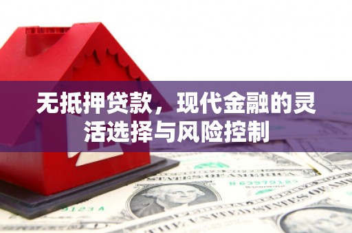 法库无抵押贷款，现代金融的灵活选择与风险控制