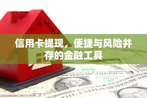 法库信用卡提现，便捷与风险并存的金融工具