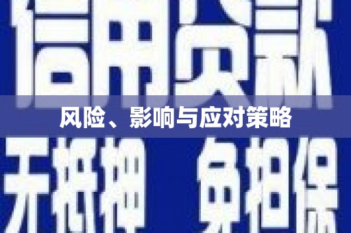 法库风险、影响与应对策略