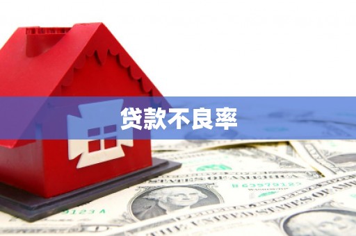 法库贷款不良率