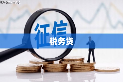 法库税务贷
