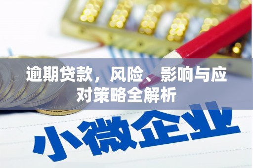 法库逾期贷款，风险、影响与应对策略全解析