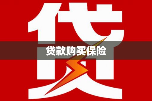 法库贷款购买保险