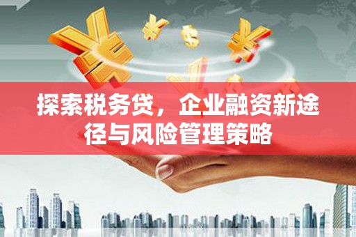 法库探索税务贷，企业融资新途径与风险管理策略