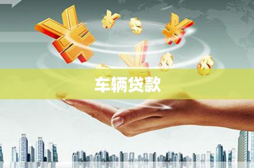 法库车辆贷款