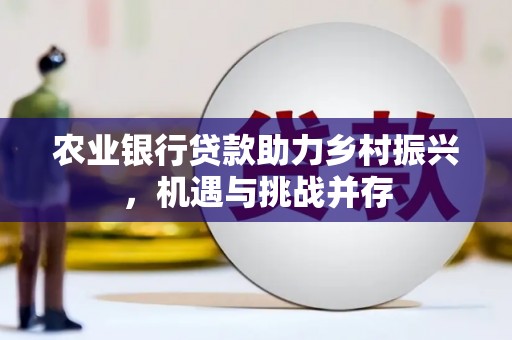 法库农业银行贷款助力乡村振兴，机遇与挑战并存