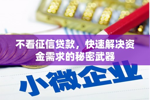 法库不看征信贷款，快速解决资金需求的秘密武器