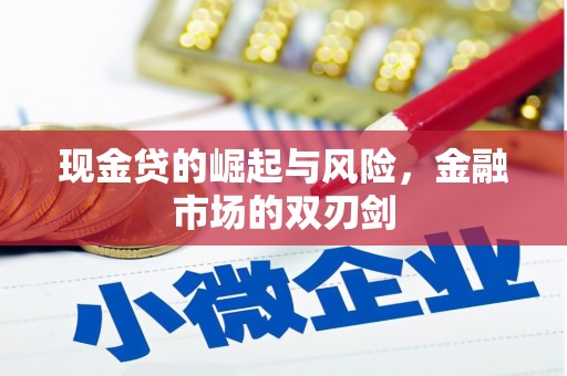 法库现金贷的崛起与风险，金融市场的双刃剑