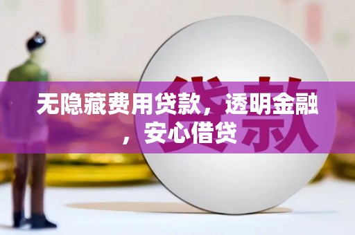 法库无隐藏费用贷款，透明金融，安心借贷