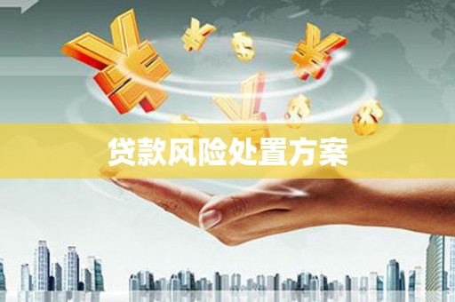 法库贷款风险处置方案