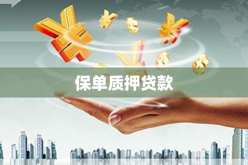 法库保单质押贷款