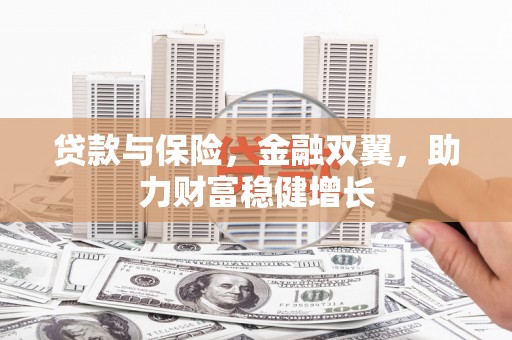 法库贷款与保险，金融双翼，助力财富稳健增长