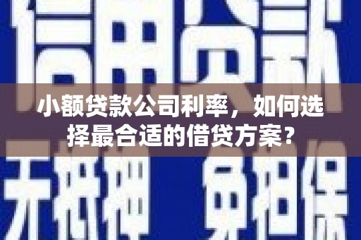 法库小额贷款公司利率，如何选择最合适的借贷方案？