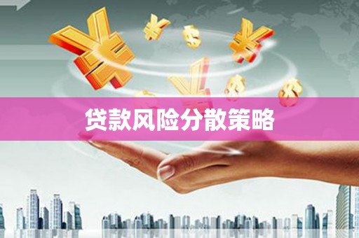 法库贷款风险分散策略