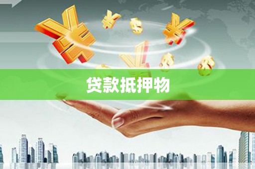 法库贷款抵押物