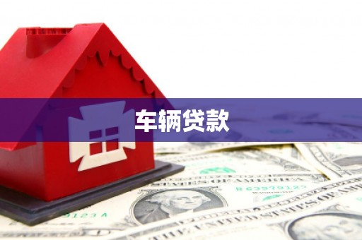 法库车辆贷款