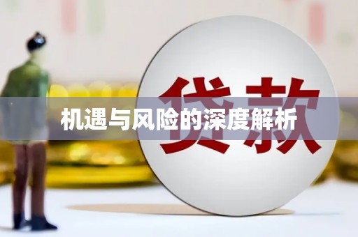 法库机遇与风险的深度解析