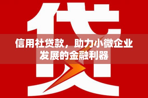 法库信用社贷款，助力小微企业发展的金融利器