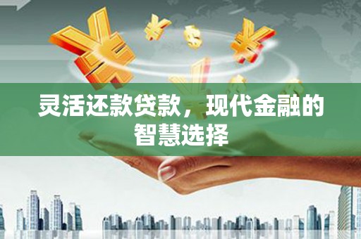 法库灵活还款贷款，现代金融的智慧选择