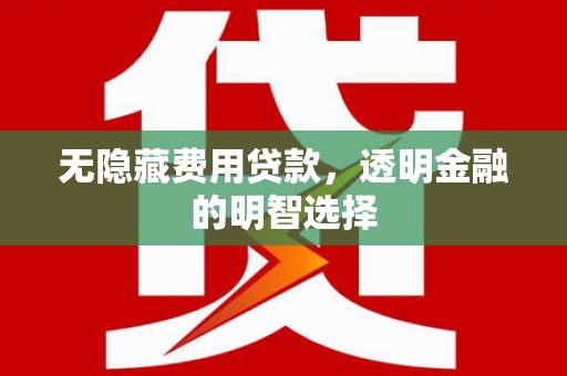 法库无隐藏费用贷款，透明金融的明智选择