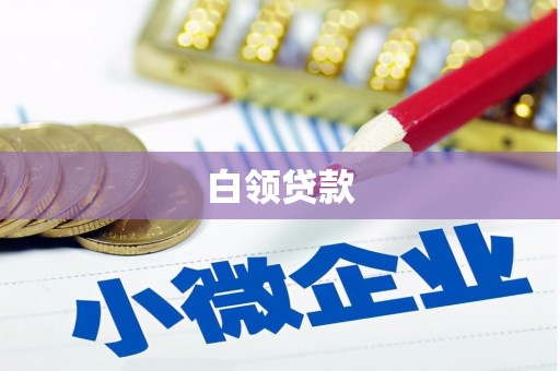 法库白领贷款