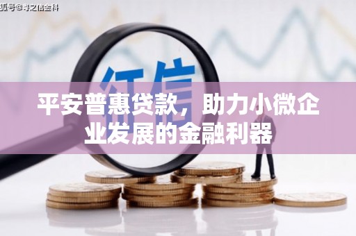法库平安普惠贷款，助力小微企业发展的金融利器