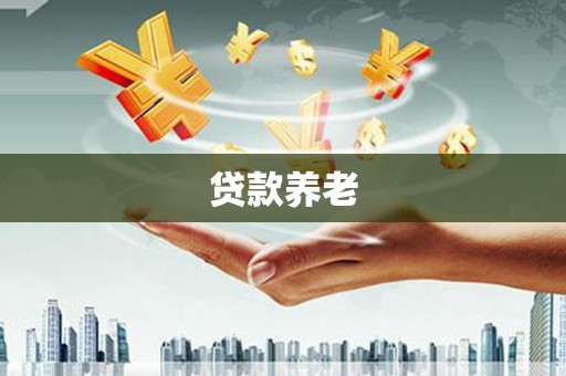 法库贷款养老