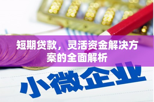 法库短期贷款，灵活资金解决方案的全面解析