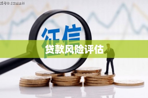 法库贷款风险评估