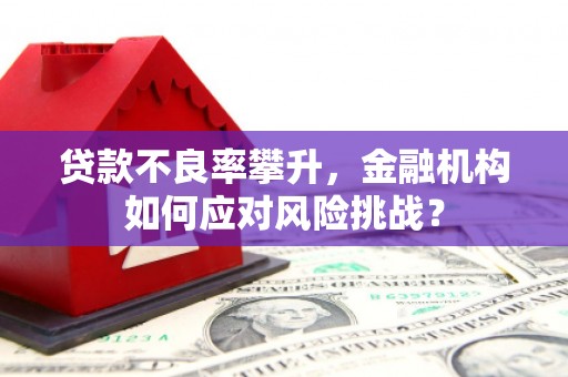 法库贷款不良率攀升，金融机构如何应对风险挑战？
