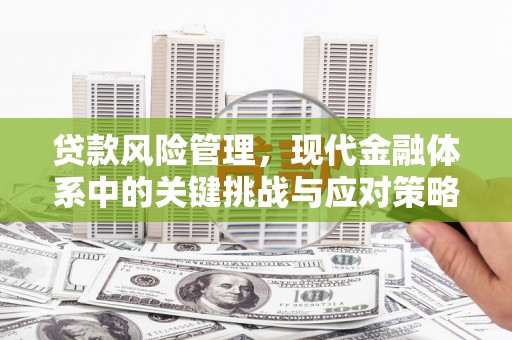 法库贷款风险管理，现代金融体系中的关键挑战与应对策略