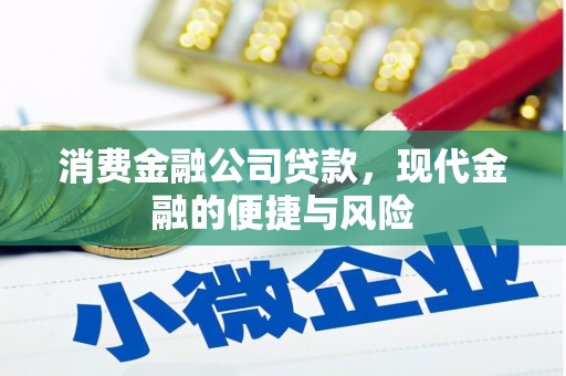法库消费金融公司贷款，现代金融的便捷与风险
