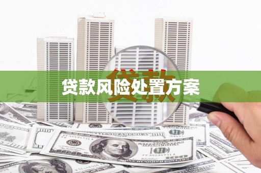 法库贷款风险处置方案