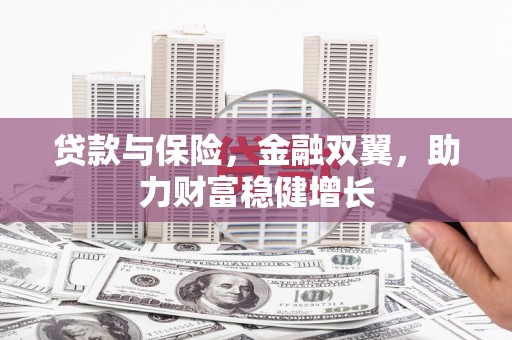法库贷款与保险，金融双翼，助力财富稳健增长