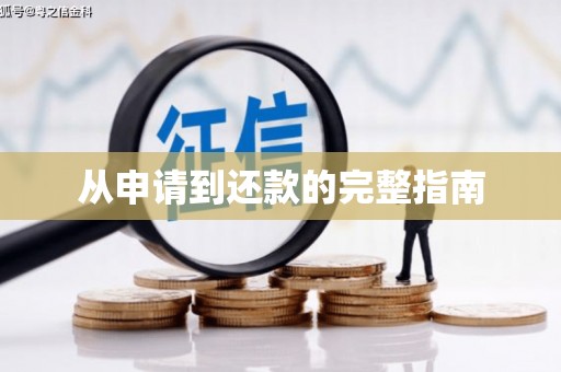 法库从申请到还款的完整指南