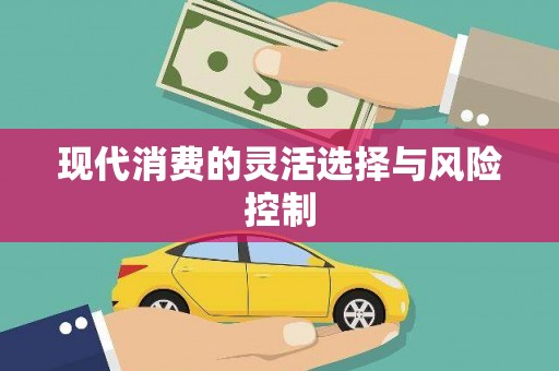 法库现代消费的灵活选择与风险控制