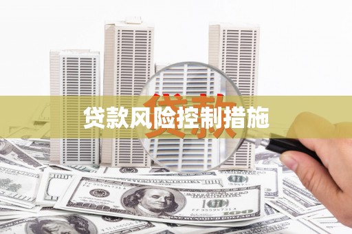 法库贷款风险控制措施