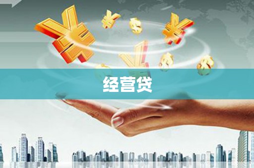 法库经营贷
