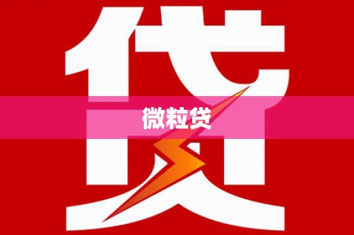 法库微粒贷