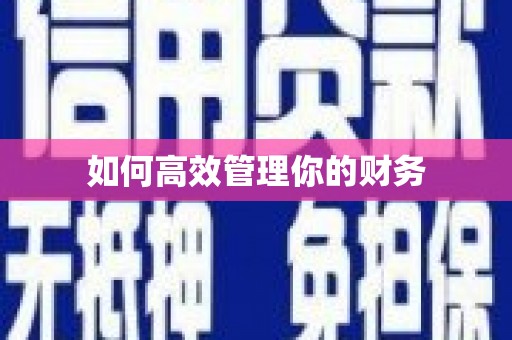 法库如何高效管理你的财务