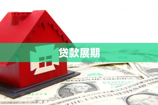 法库贷款展期