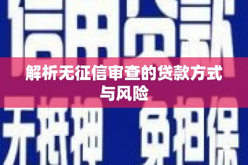法库解析无征信审查的贷款方式与风险