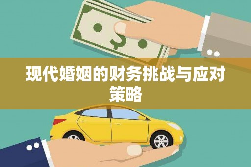 法库现代婚姻的财务挑战与应对策略